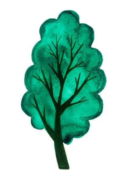 Baum Isoliert Auf Weißem Hintergrund Stilisierte Aquarellzeichnung Dunkelgrüner Stamm Und — Stockfoto