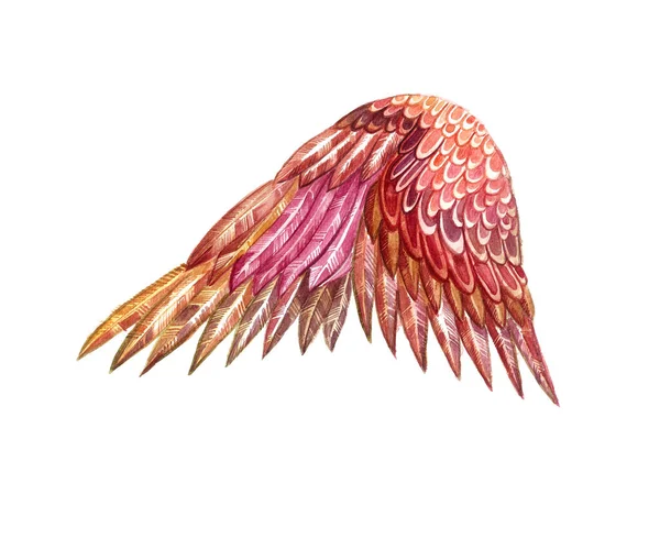 Ptačí Křídlo Izolované Bílém Pozadí Detailní Kresba Stylizací Geometrické Tvary — Stock fotografie