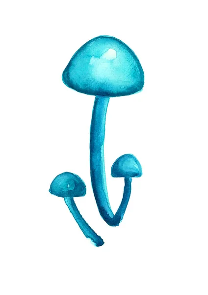 Blue Mushrooms Isolated White Background One Large Mushroom Two Small — Stock Photo, Image