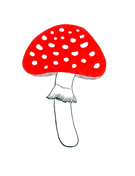 Toadstool Απομονώνονται Λευκό Φόντο Ένα Κόκκινο Καπέλο Λευκή Κουκίδα Λευκό — Φωτογραφία Αρχείου