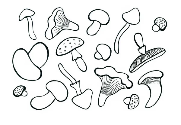 Una Serie Diversi Tipi Funghi Disegnato Con Contorno Nero Sfondo — Foto Stock