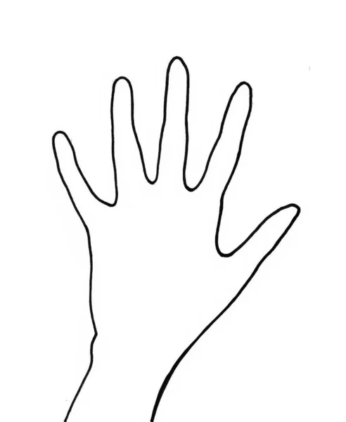 白い背景に黒い線で手を描く シルエット 繊細な指で薄手で ウォーマンス 手は黒い線で紙に概説されています — ストック写真