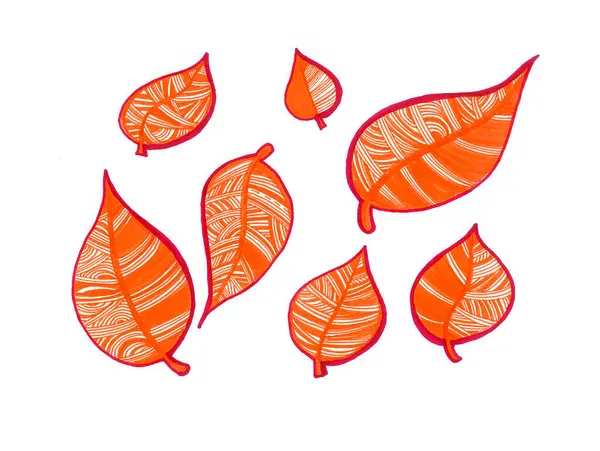Set of orange autumn leaves. Drawn in doodle style. Lines and strokes in different directions. Different in size. Chaotically located on a white background. They have a dark red contour.