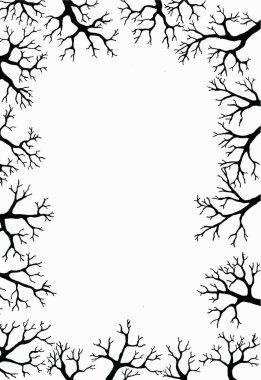 Ağaç dalları çerçevesi. Beyaz arka planda siyah bir taslak. Yapraksız ağaç dalları. Çarpık kıvrımlı şekil. Gökyüzü. Dekorasyon. Kartpostal.