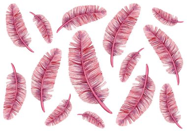 Dekoratif detaylar beyaz arka planda rastgele sıralanır. Boyutları farklı. Pembenin farklı tonları. Mor ve mor. İnce çizgiler, bazen noktalar. Yumuşak, yumuşak doku.