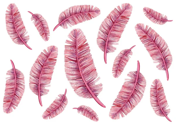 Dekoratif detaylar beyaz arka planda rastgele sıralanır. Boyutları farklı. Pembenin farklı tonları. Mor ve mor. İnce çizgiler, bazen noktalar. Yumuşak, yumuşak doku.