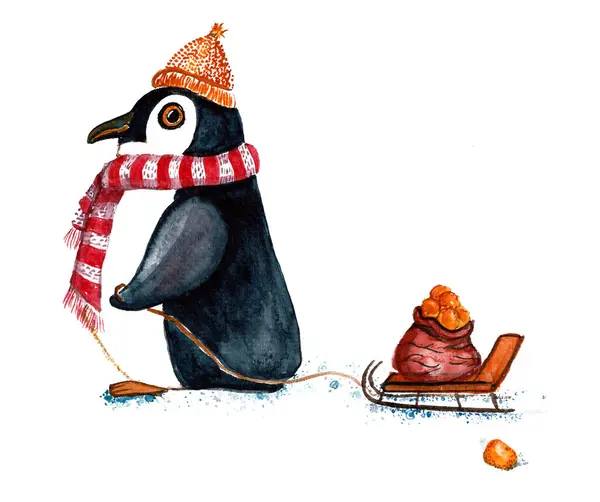 Illustration of a penguin in a hat and scarf. Isolated on white background. Penguin in profile. In his hands is a rope that pulls the sled. A bag with orange citrus fruits on the sled. Watercolor.