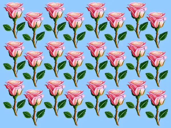 Pattern of pink roses on shoot with leaves and thorns. Blue background. Realistic drawing of roses with colored pencils. Coral pink with peach shade. The flowers are arranged in checkerboard pattern.