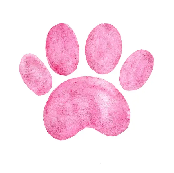 Evcil hayvan pençesi silueti. Beyaz arka planda izole edilmiş. Pembe renk. Suluboya. İz sür, iz bırak. Kedi, köpek. Bebek partisi. O bir kız. Dekor.