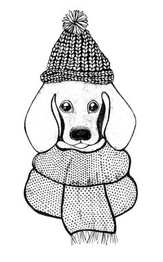 Örgü şapkalı ve atkılı bir köpek tasviri. Taslak çizim. Şekillendirme. Portre. Önüne bak. Siyah çizgili, beyaz arkaplan. Gri lekeler doku izi. Matbaa stili. Evcil hayvanlar için kıyafetler.