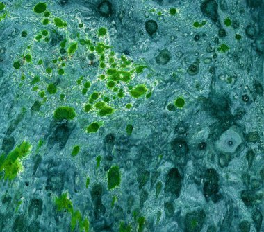 Yeşil ve mavi lekeli soyut turkuaz arka plan. Farklı şekiller ve gölgeler. Renkler karışık. Kirli bir doku oluşturuyorlar. Mermer efektler.