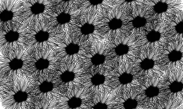 Background with decorative elements of black color on white. Uneven circles from the center of which many thin curved lines emerge. The elements touch. Pattern.