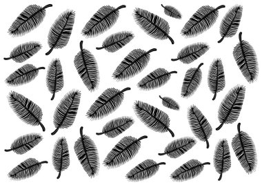 Beyaz arka planda farklı boyutlarda siyah tüyler. Şablon. Yumuşak ve nazik. İnce, hassas çizgiler. Kaotik bir yer. Yazdırma, paketleme, kumaş, tasarım. Tek Renkli.