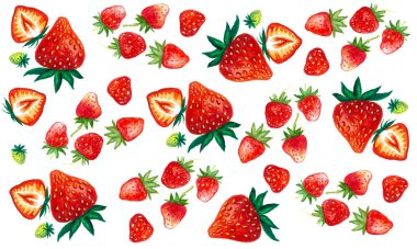 Çilek desenli. Suluboya çizim. Beyaz arka plan. Farklı şekillerde böğürtlenlerin yaprakları vardır. Bazı meyveler ikiye bölünür, bazıları olgunlaşmamış, yeşildir. Kırmızının farklı tonlarında, yeşil.