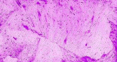 Soyut doku arkaplanı. Kaotik noktalar, damlalar, sıçramalar. Mor rengin farklı tonları. Nazik, yumuşak bir arka plan. Romantizm, aşk. Sevgililer Günü. Düğün..