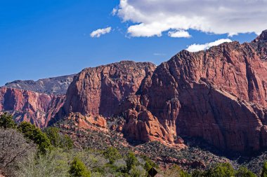 Güney Utah 'taki Red Sandstone kayalıkları Zion Ulusal Parkı yakınlarındaki St. George yakınlarında.