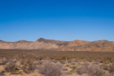 Güney Kaliforniya 'daki Mojave Çölü' nün görkemli manzarası.