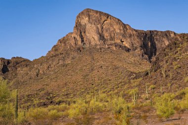 Picatcho Tepesi 'nin engebeli manzarası Amerikan İç Savaşı' nın en uzak batı muharebesine ev sahipliği yapıyordu.