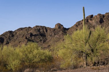 Picatcho Tepesi 'nin engebeli manzarası Amerikan İç Savaşı' nın en uzak batı muharebesine ev sahipliği yapıyordu.