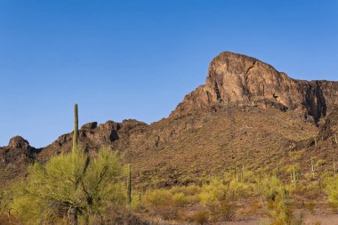 Picatcho Tepesi 'nin engebeli manzarası Amerikan İç Savaşı' nın en uzak batı muharebesine ev sahipliği yapıyordu.