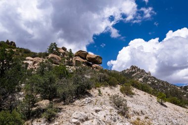 Engebeli Catalina Dağları, Sonoran Çölü sakinleri için deniz seviyesinden 3500 metre yükseklikteki sıcaktan kaçmak için bir yaz vahasıdır.