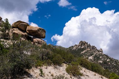 Engebeli Catalina Dağları, Sonoran Çölü sakinleri için deniz seviyesinden 3500 metre yükseklikteki sıcaktan kaçmak için bir yaz vahasıdır.