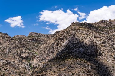 Engebeli Catalina Dağları, Sonoran Çölü sakinleri için deniz seviyesinden 3500 metre yükseklikteki sıcaktan kaçmak için bir yaz vahasıdır.