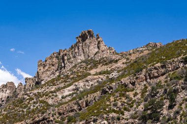 Engebeli Catalina Dağları, Sonoran Çölü sakinleri için deniz seviyesinden 3500 metre yükseklikteki sıcaktan kaçmak için bir yaz vahasıdır.