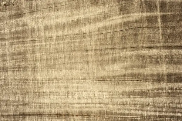 旧的木制纹理背景表面 木质部表面视图 老式木质部背景 天然木质部 — 图库照片