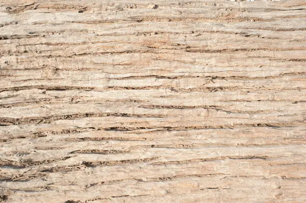 Rindenholz Textur Für Hintergrund — Stockfoto