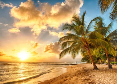 Denizin üzerinde güzel bir gün batımı. Barbados 'un Karayipler adasındaki palmiyelerin manzarası.
