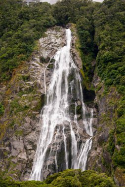 Milford Sound, Yeni Zelanda 'da yemyeşil bir ormanda çarpıcı bir şelale. Su yosunlu kayaların üzerinden akar ve güneşi yansıtır. Şelaleyi çevreleyen çeşitli ve canlı bir ekosistem.