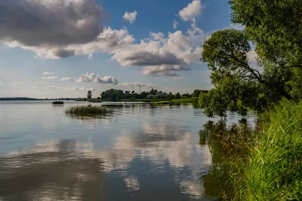 stock image a beautiful view of a calm river next to a overlapping trees on the water in Ikskile, Latvia