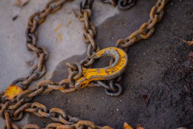 Beton bir duvarın arka planında zinciri olan paslı eski bir zincir.
