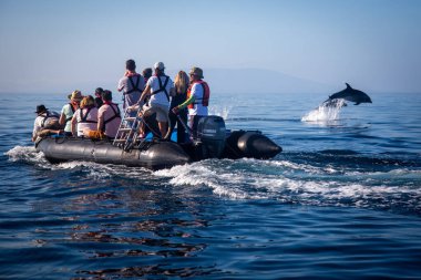 Tourists take a boat to see dolphins in the Galapagos Islands