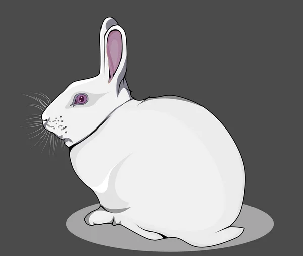 white rabbit illustration for stickers