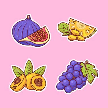 Meyve çıkartmalı el boyama vektör simgesi çizer. Gıda doğa simgesi kavramı izole edilmiş premium vektör