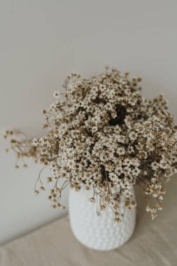 Seramik vazoda papatya çiçeği buketi. Estetik minimal modern İskandinav iç tasarım dekorasyonu