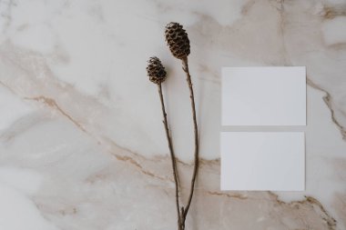 Sahte kopya alanı olan boş kağıt kağıdı, tarafsız bej mermer arka planda kurutulmuş çiçek. Minimum estetik marka şablonu. Düz yatış, üst görünüm