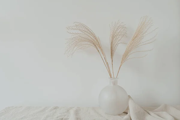 Elegant Gentle Dried Grass Bouquet Glass Vase — Stock Photo, Image