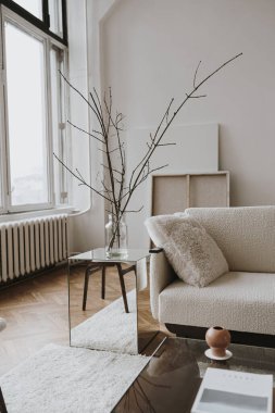Ev içi oturma odası: rahat kanepe, yastık, beyaz duvarlar, ev bitkileri. Estetik lüks parlak apartman iç tasarım konsepti