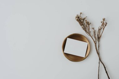 Pirinç tabakta boş kağıt levha, beyaz arka planda kurumuş çiçek dalı. İş planı. Üst görünüm, düz uzanan minimalist estetik lüks bohem ticari markalaşma kavramı