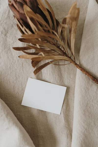 Ästhetisch Unkonventionelle Hochzeitseinladungskarte Vorlage Mit Kopierraum Papierkarte Getrocknete Protea Blume — Stockfoto