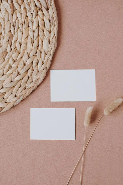 空白纸制卡片 仿制版面 精美的兔尾草茎 珊瑚背景草毯 平铺简约美学波希米亚品牌模板 — 图库照片