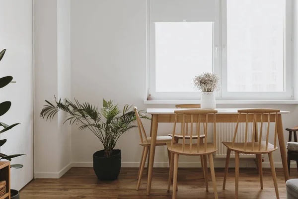 Modern Minimal Home Living Room Interior Design Concept White Walls — Stock Photo, Image