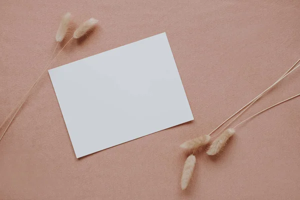 Prázdná Papírová Karta Makupem Kopírovat Prostor Neutrálním Pastelovém Korálovém Pozadí — Stock fotografie