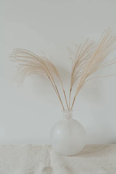 白い花瓶にエレガントなふわふわのパンパ草の茎 — ストック写真