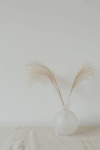 Dried Pampas Grass Stalks Bouquet Glass Vase Minimalist Elegant Aesthetic — Stock Photo, Image