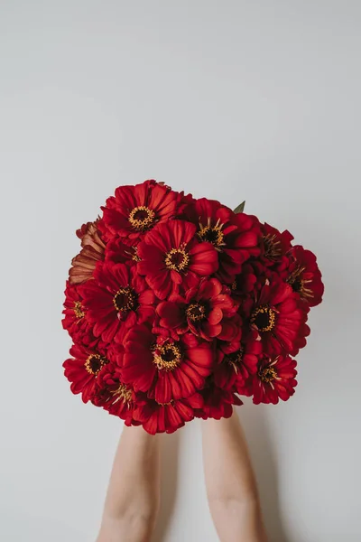 Kvinnliga Händer Som Håller Röda Blommor Bukett Vit Bakgrund Estetiskt — Stockfoto
