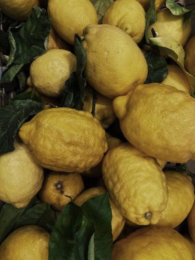 Yeşil yapraklı çiğ limon meyvelerinin estetik deseni